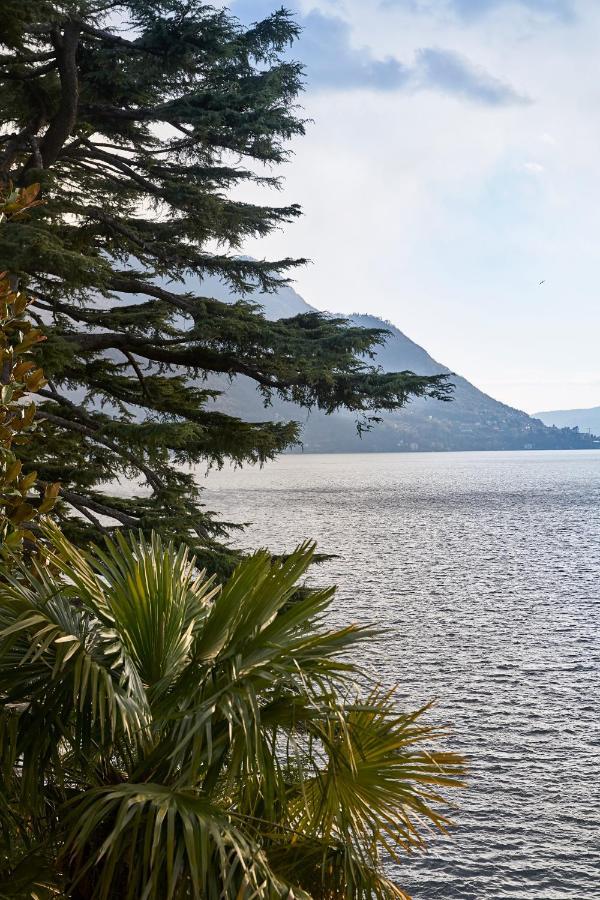 Villa Lario Lake Como Pognana Lario Εξωτερικό φωτογραφία